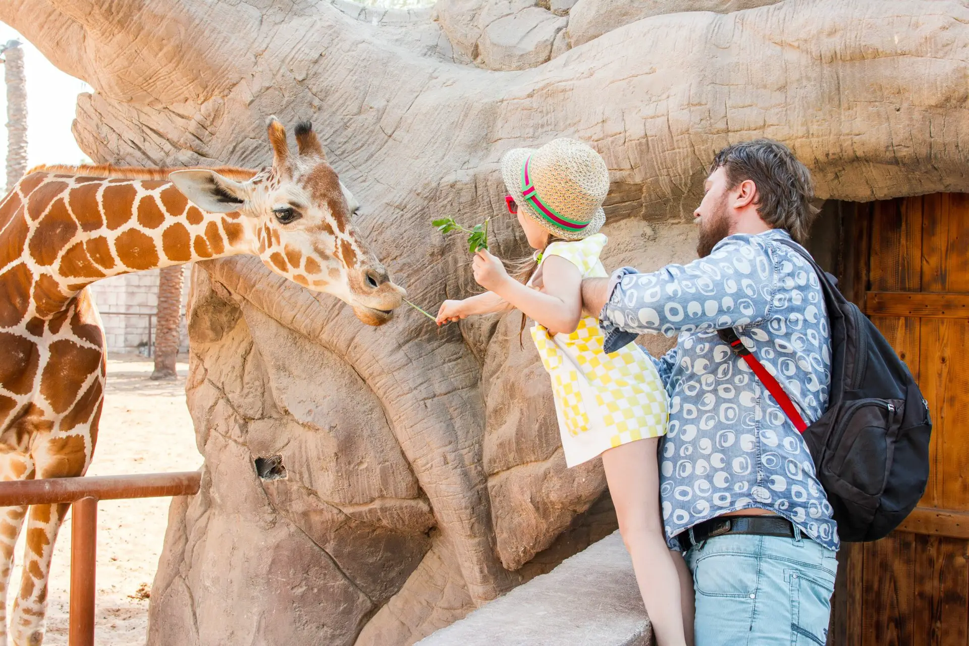 Are Zoos Eco-Friendly? 7 Common Questions (Answered)