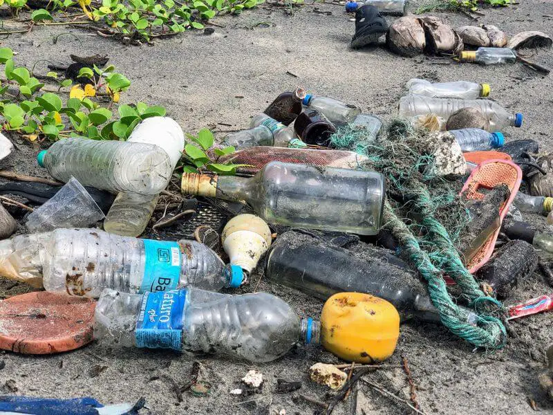 plastic pollution bottles on ground