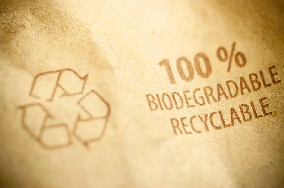 Biologisch abbaubar vs. kompostierbar – Was ist der Unterschied?