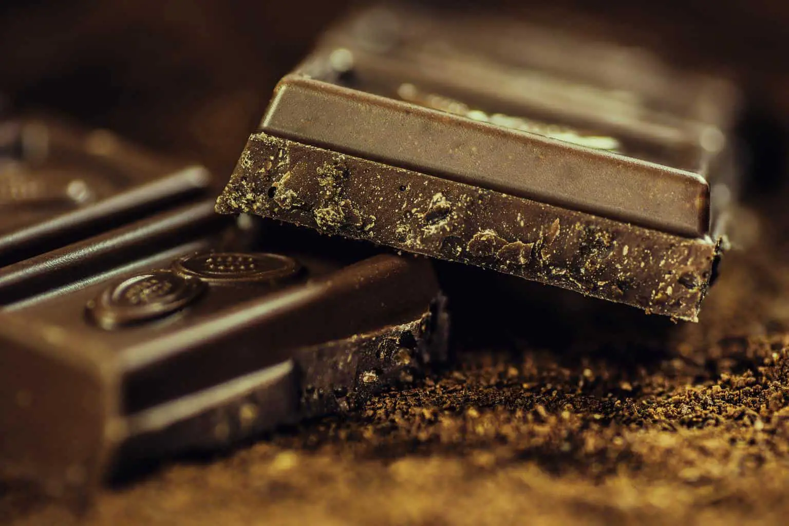 Fair Trade Chocolate: 5 Sustainable Brands (& What to Look Out For)