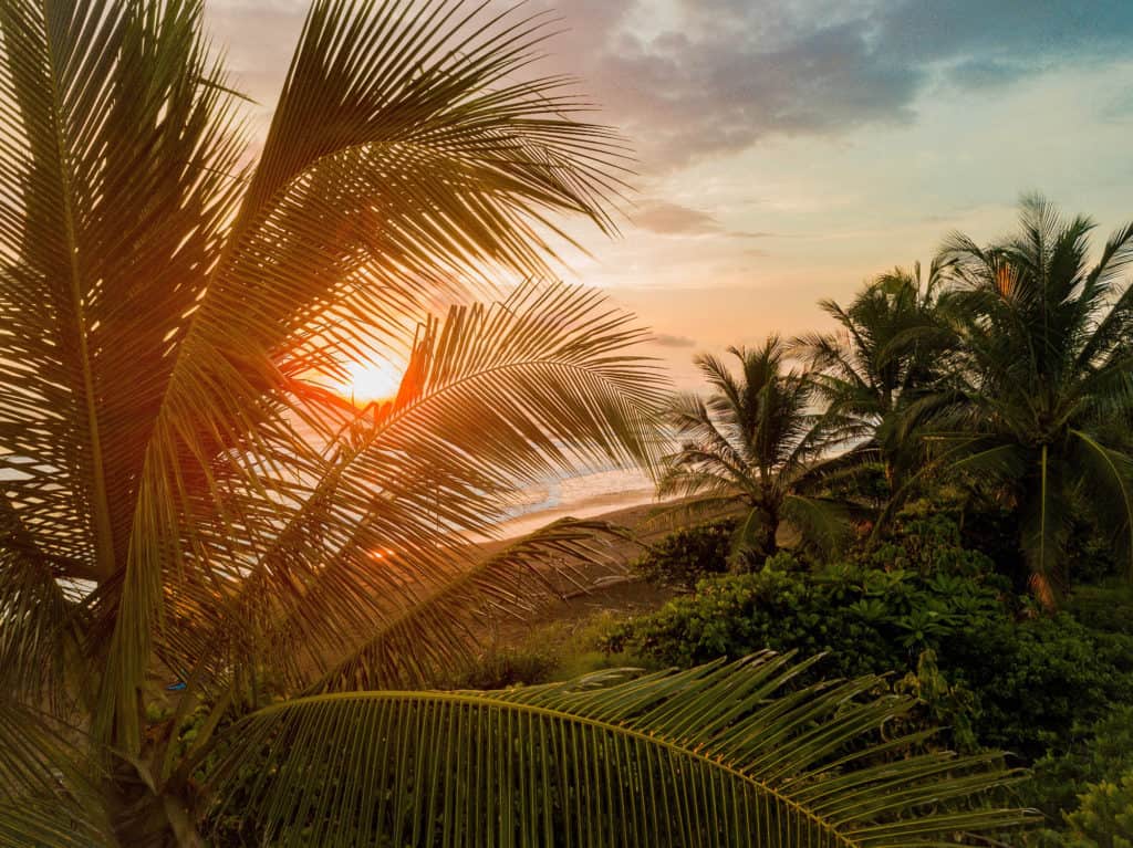costa rica sunset beach palm trees