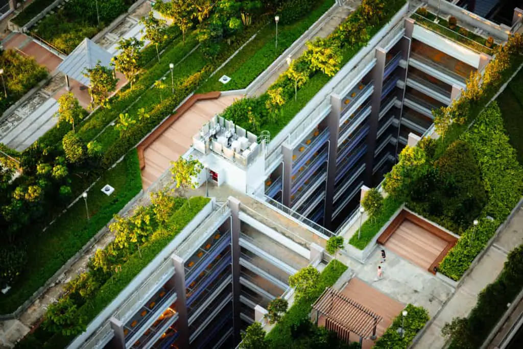 green living roof garden