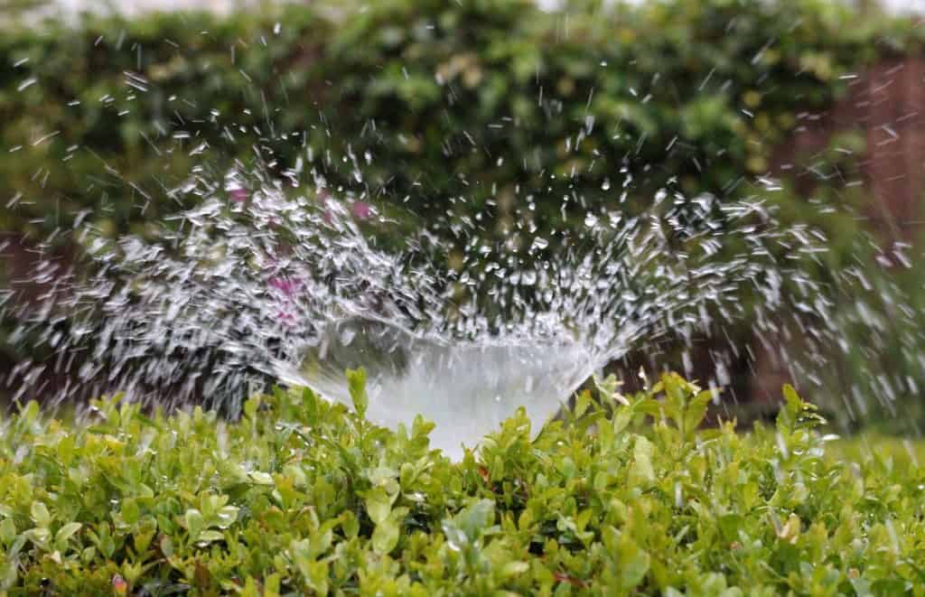water sprinkler irrigation