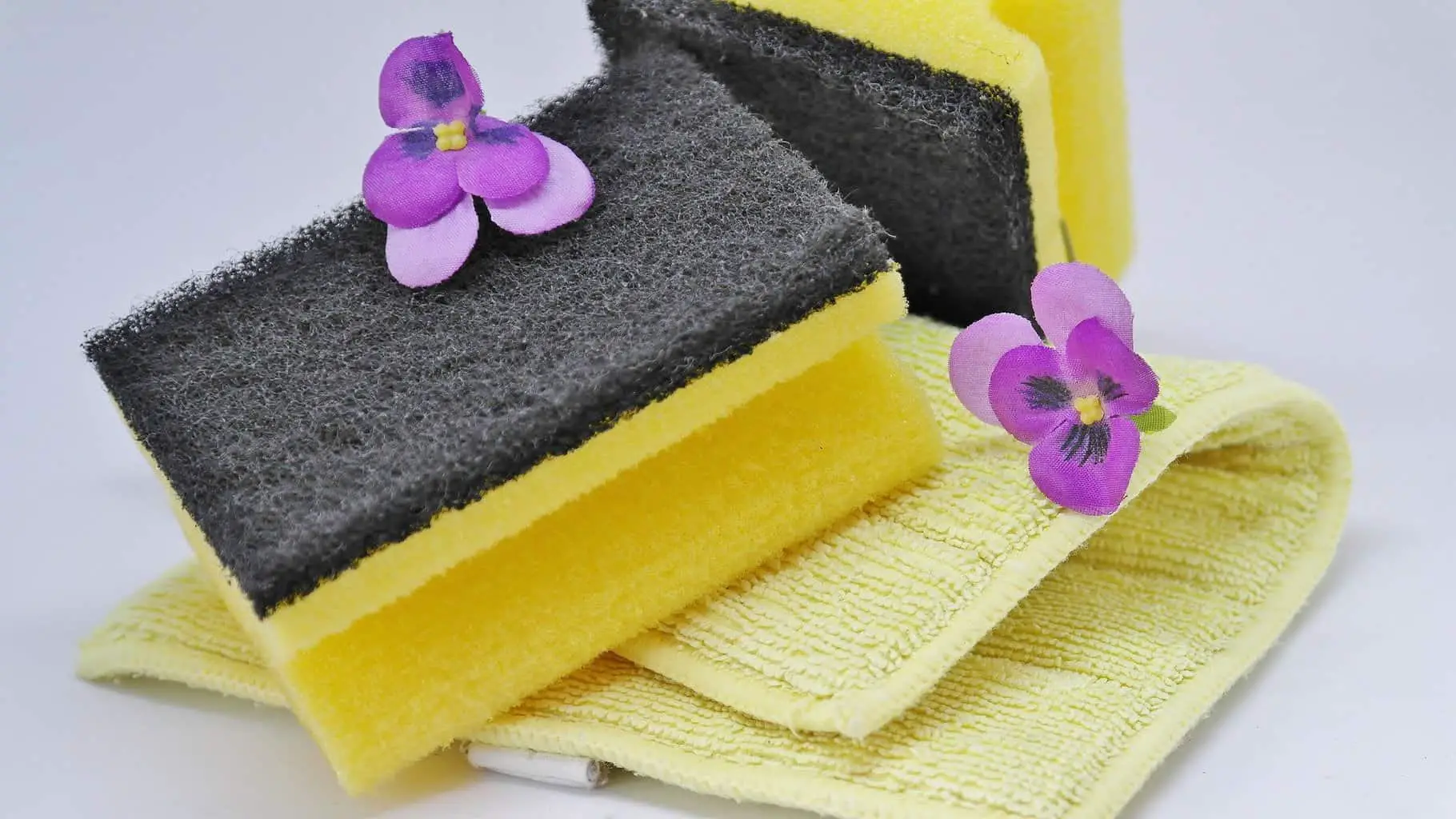 8 Zero-Waste Sponge Substitutes (for Your Eco-Friendly Kitchen)