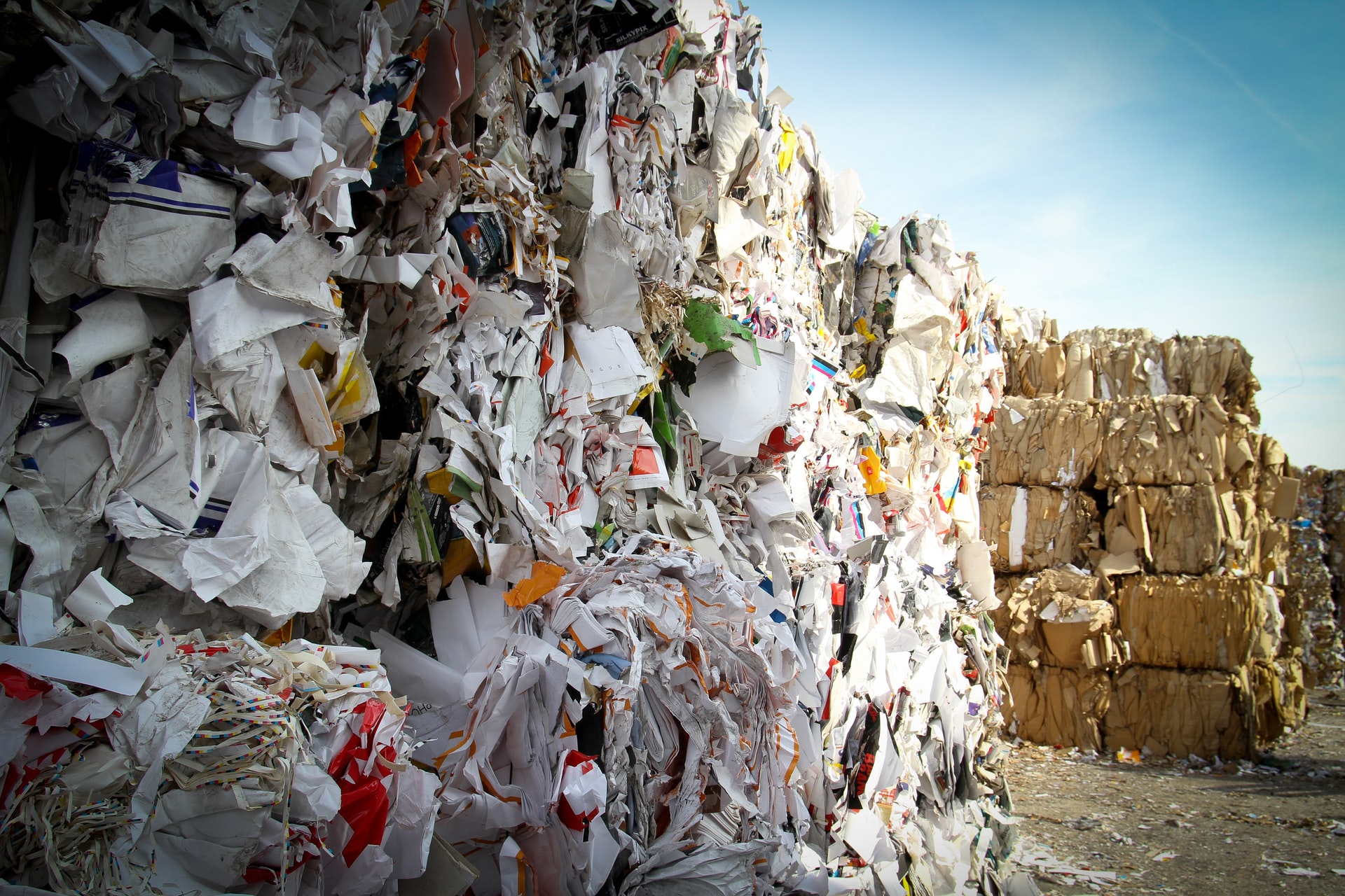 Is Recycling Paper Worth It Crucial Facts You Should Know 