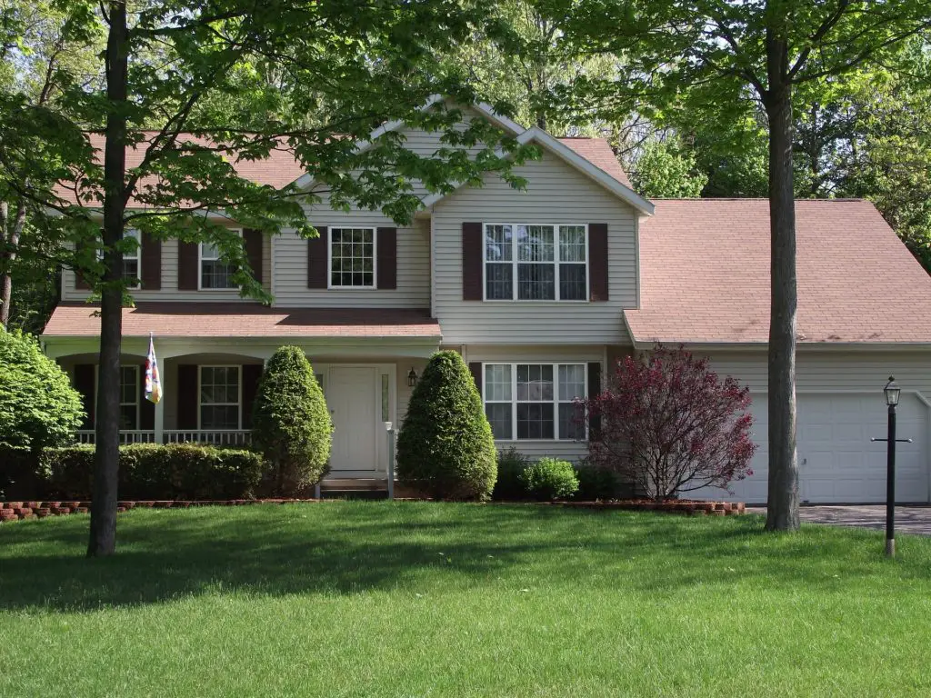 shade trees landscaping