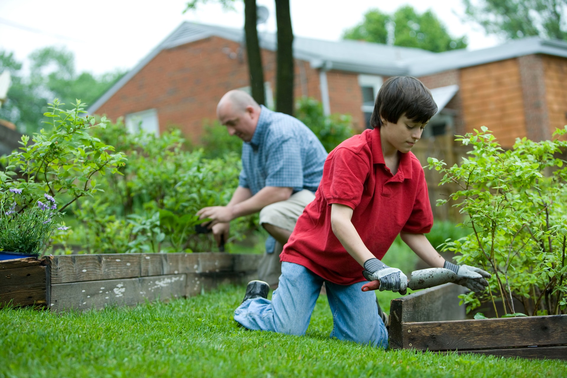 Leave It To Luke Lawn Mowing & Garden Care