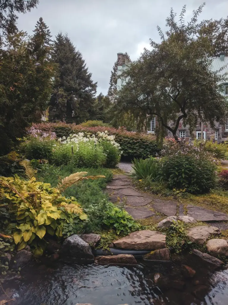 What Is Mature Landscaping? What You Should Know (+7 Examples)