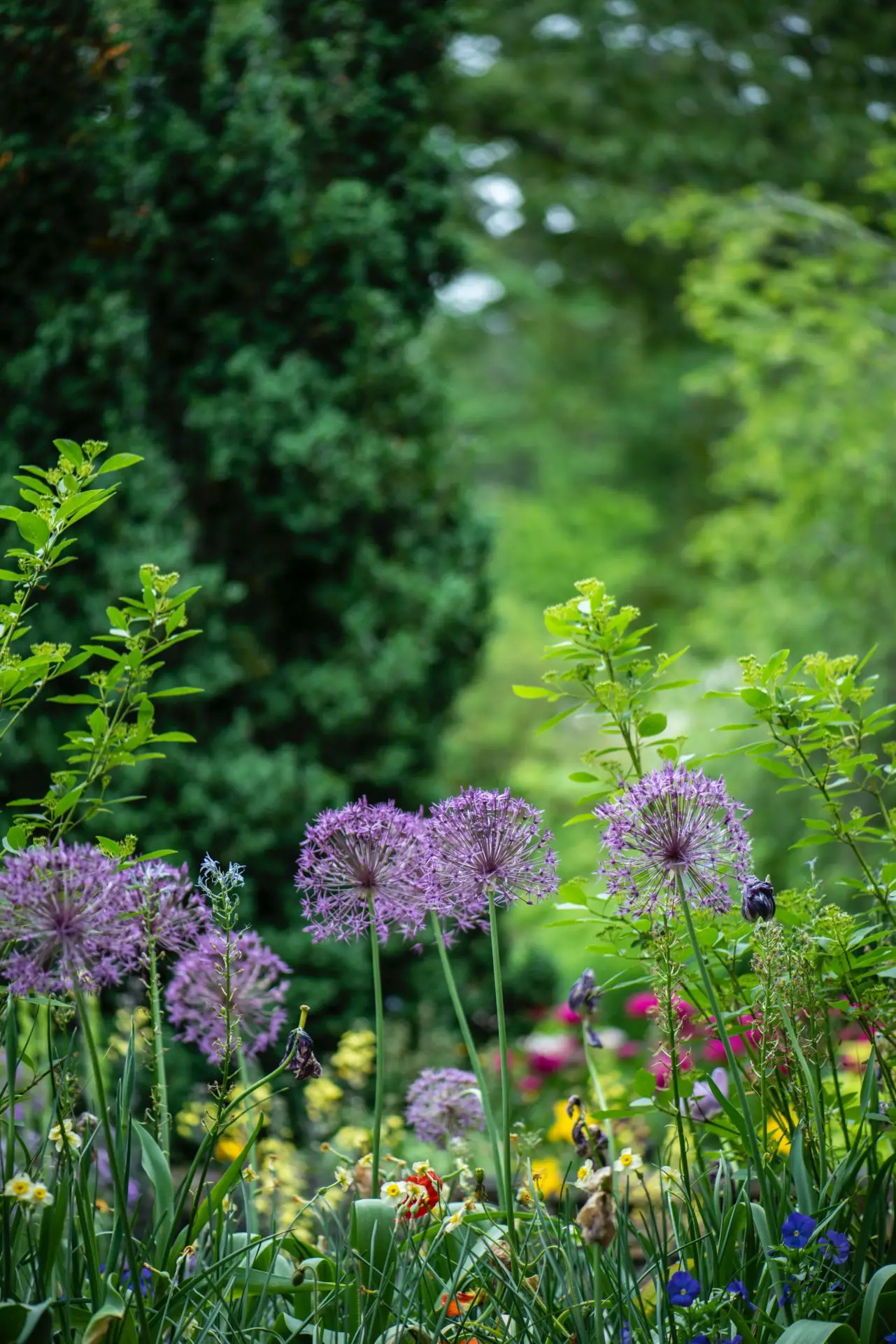 What Is Native Gardening? Explained (+Its Benefits & Downsides)