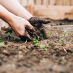 What Is Regenerative Gardening