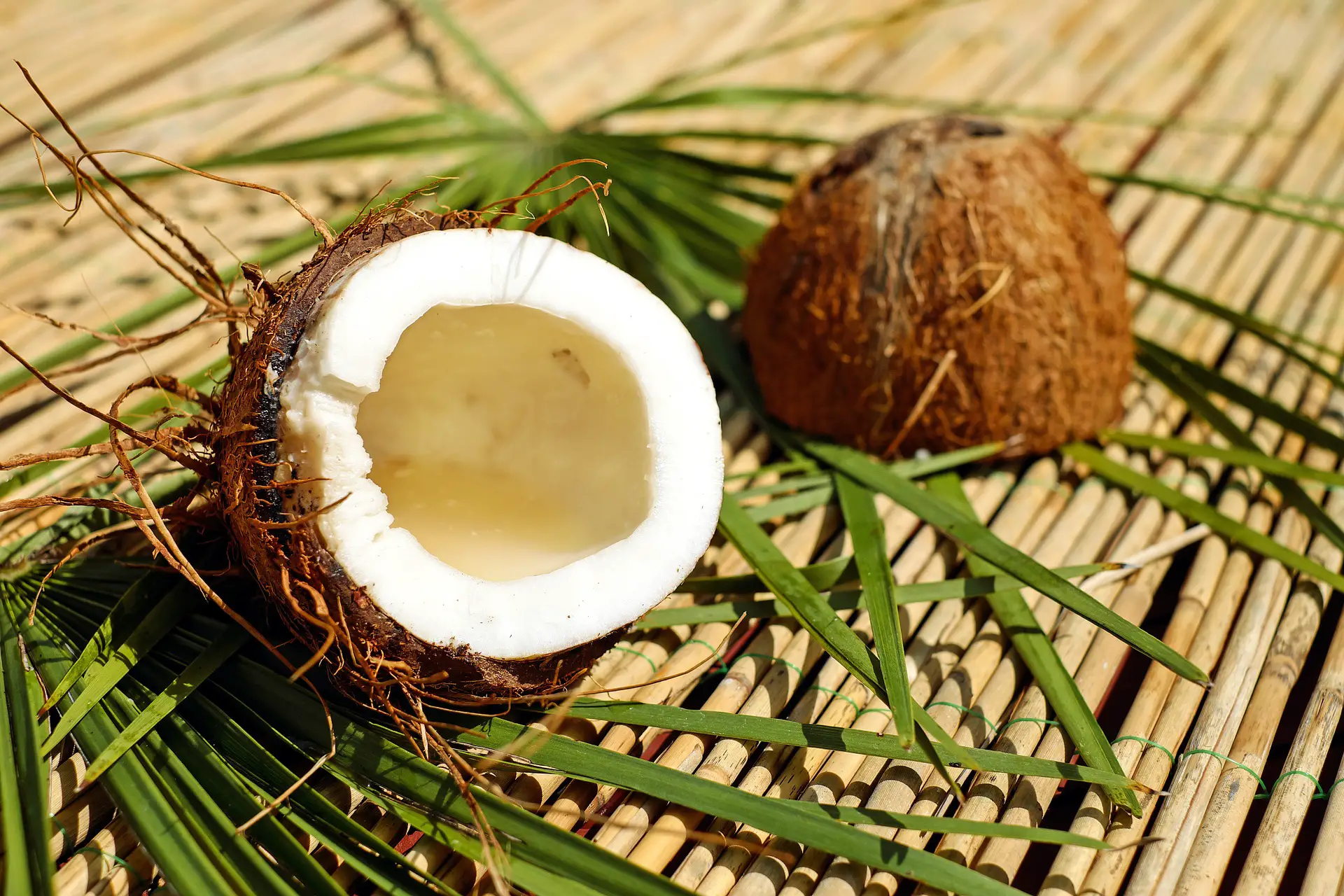 Is Coconut Wax Sustainable
