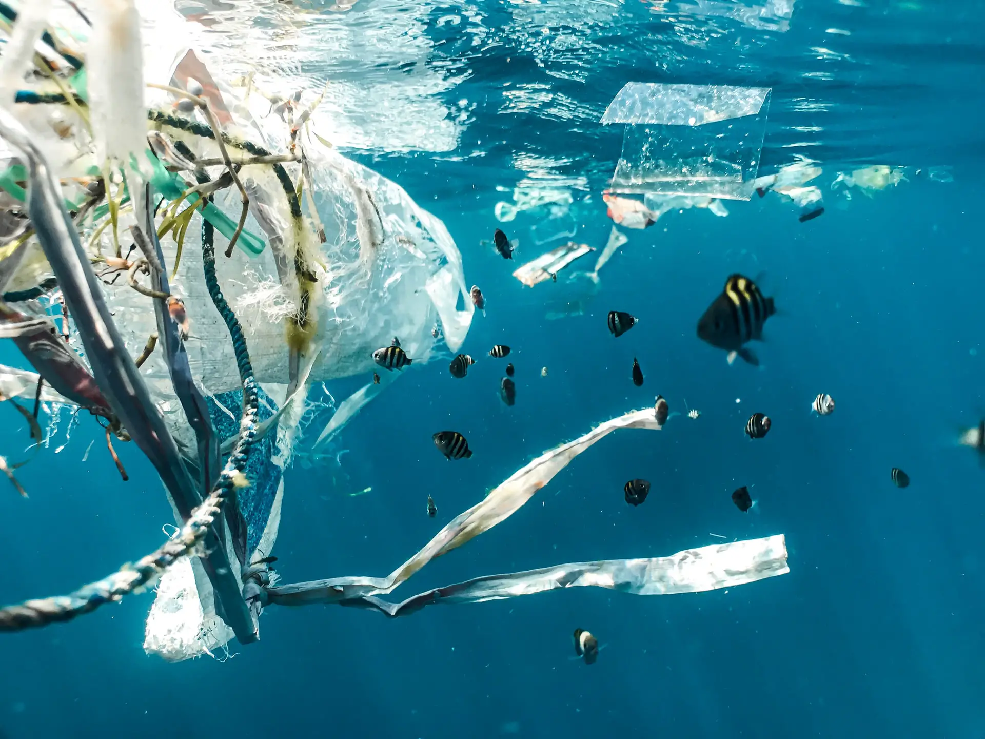 Does Recycling Help The Ocean