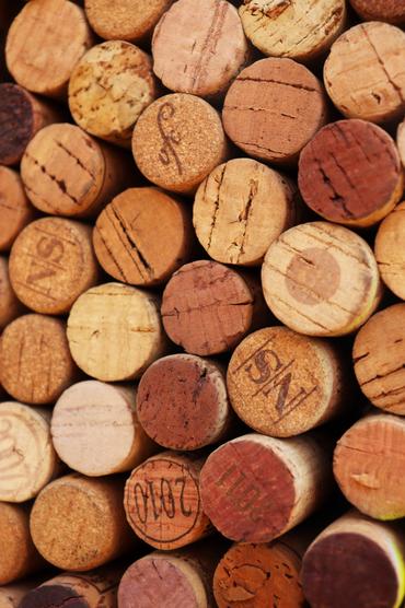What Is Cork?