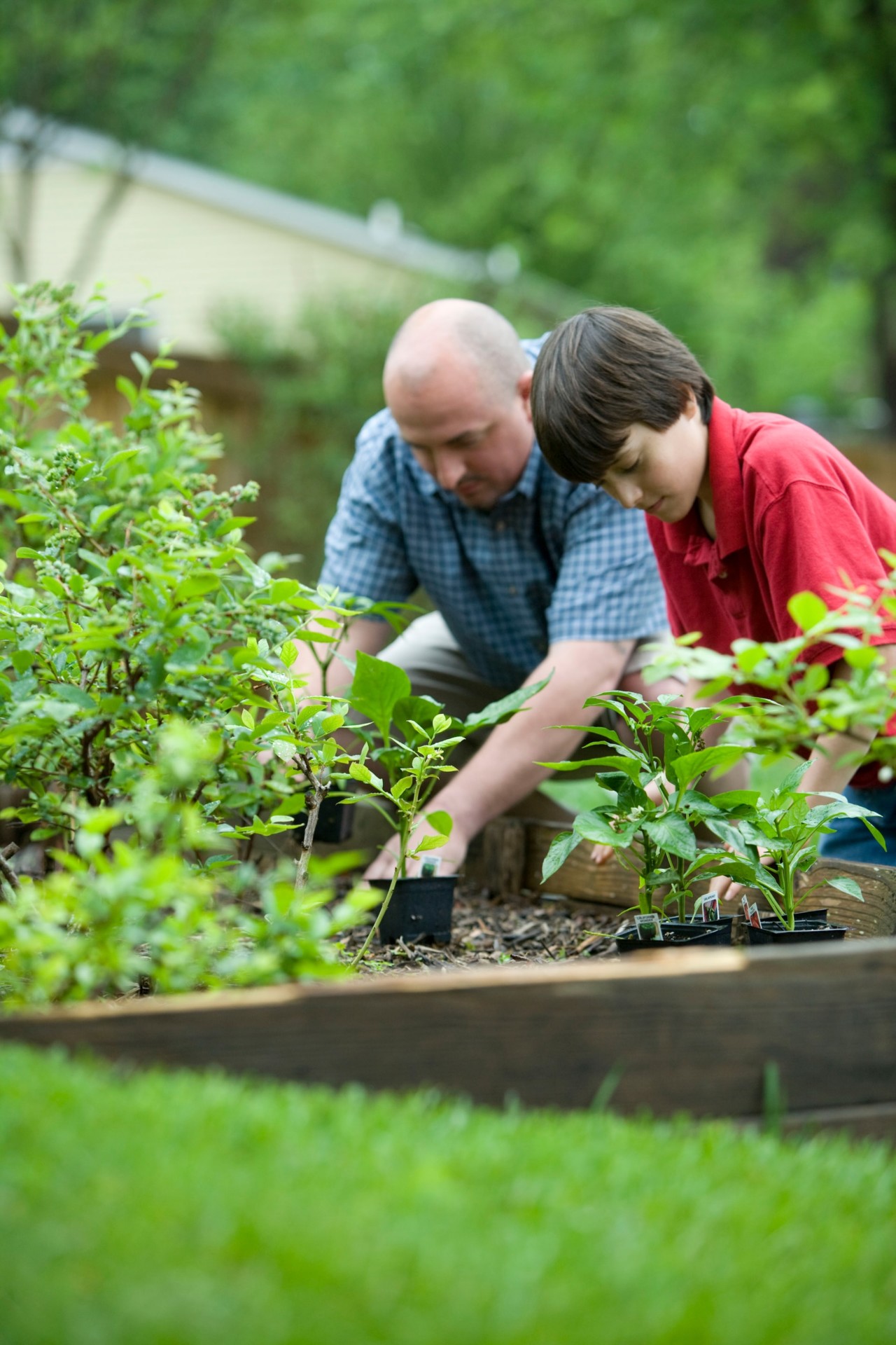 What Is Residential Gardening 4 Characteristics Its Benefits 