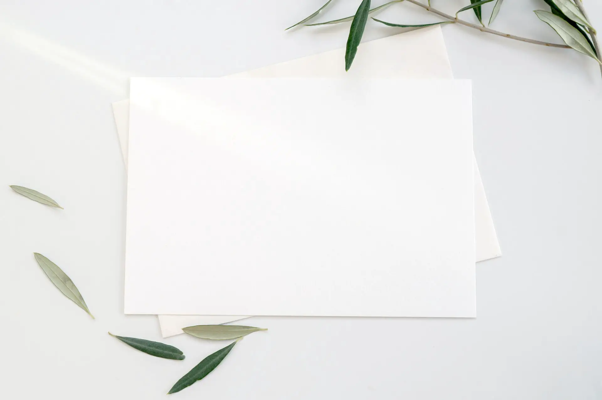 Ist Papier umweltfreundlich? 11 wichtige Dinge, die du wissen solltest