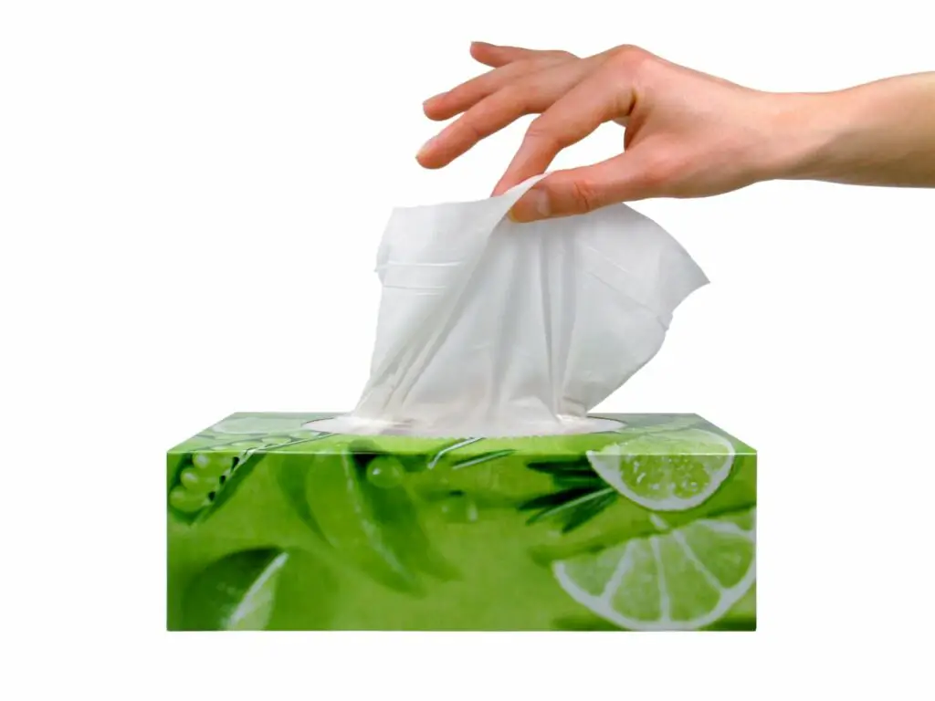 Are Tissues Eco-Friendly