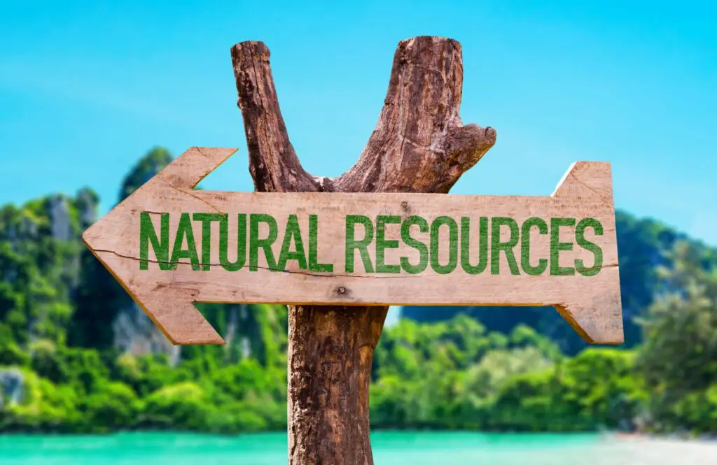 7 Reasons Why Sustainable Use of Natural Resources Is Important