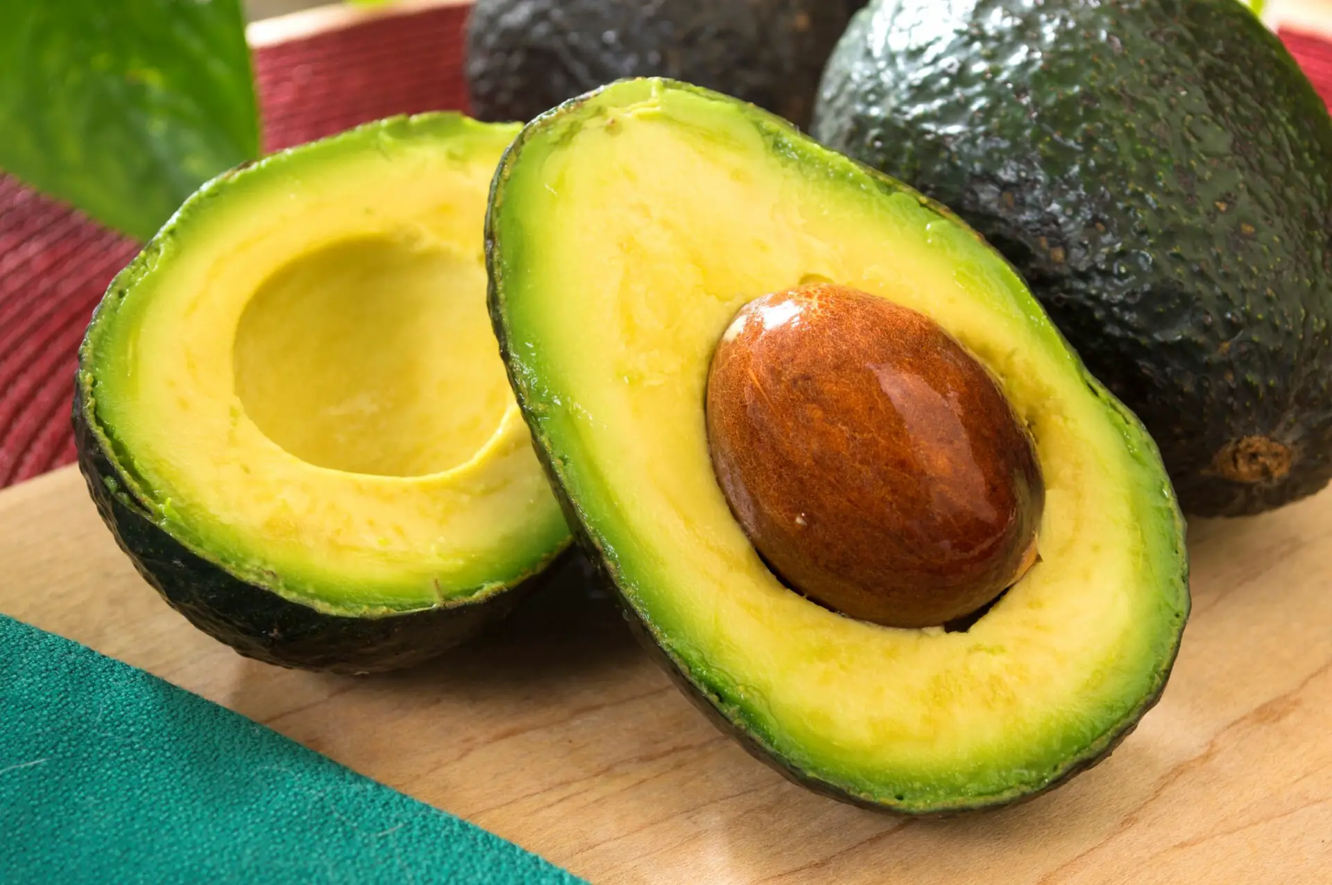 Are Avocados Bad for the Environment
