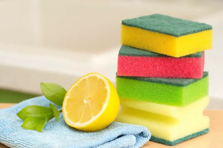 Are Kitchen Sponges Bad for the Environment? 6 Quick Facts