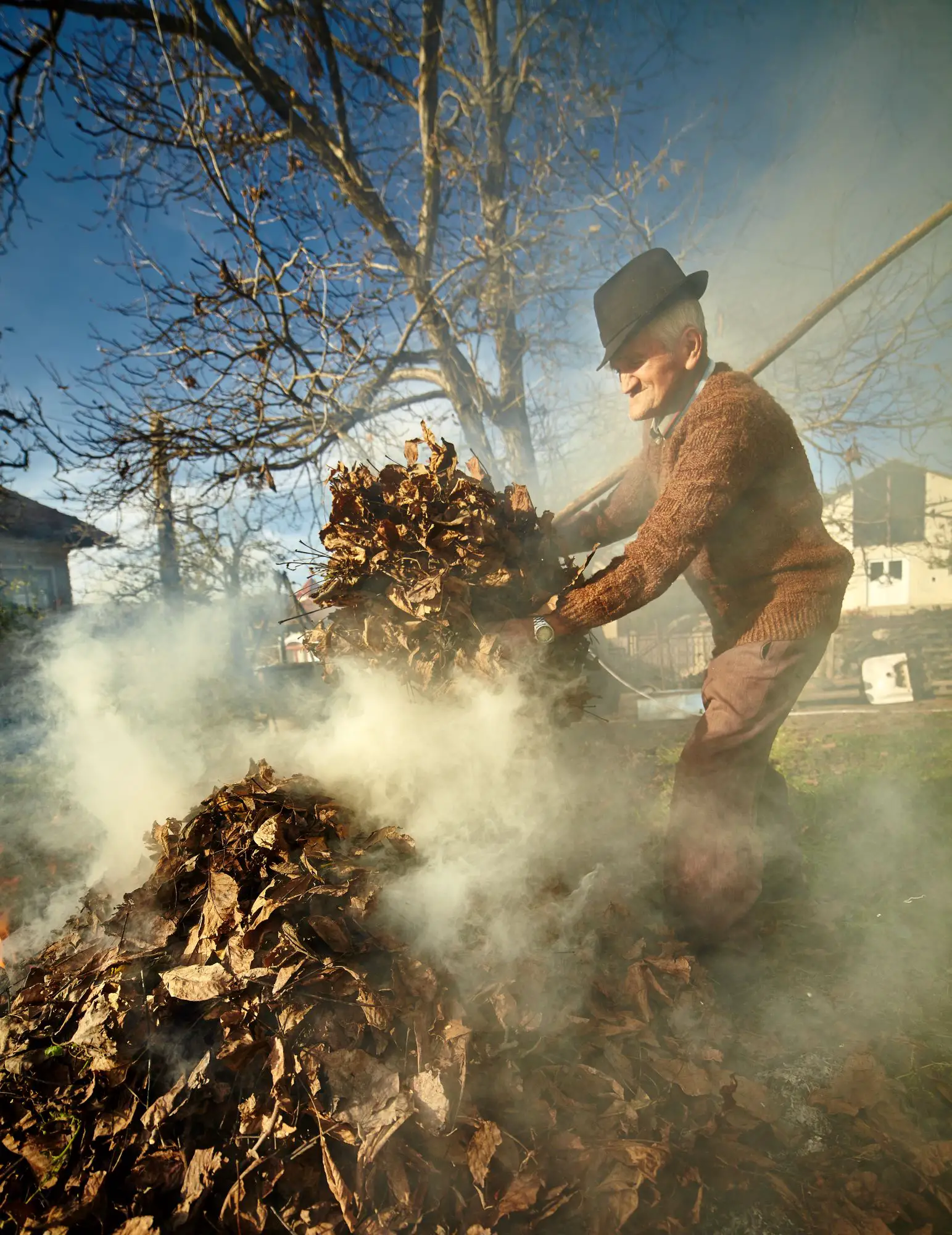 Is Burning Leaves Bad for the Environment? (7 Quick Facts)