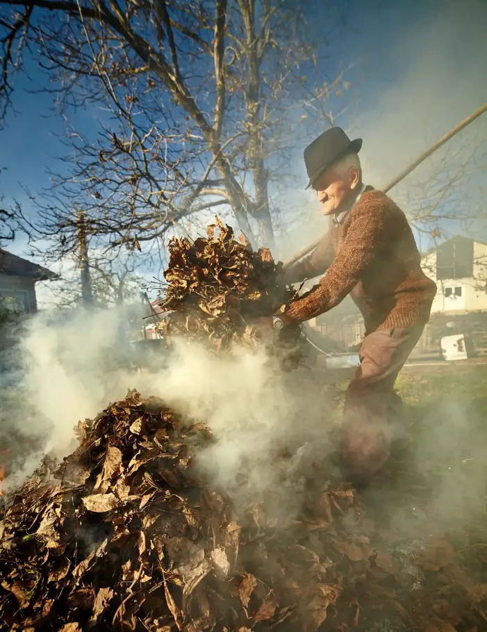 Is Burning Leaves Bad for the Environment