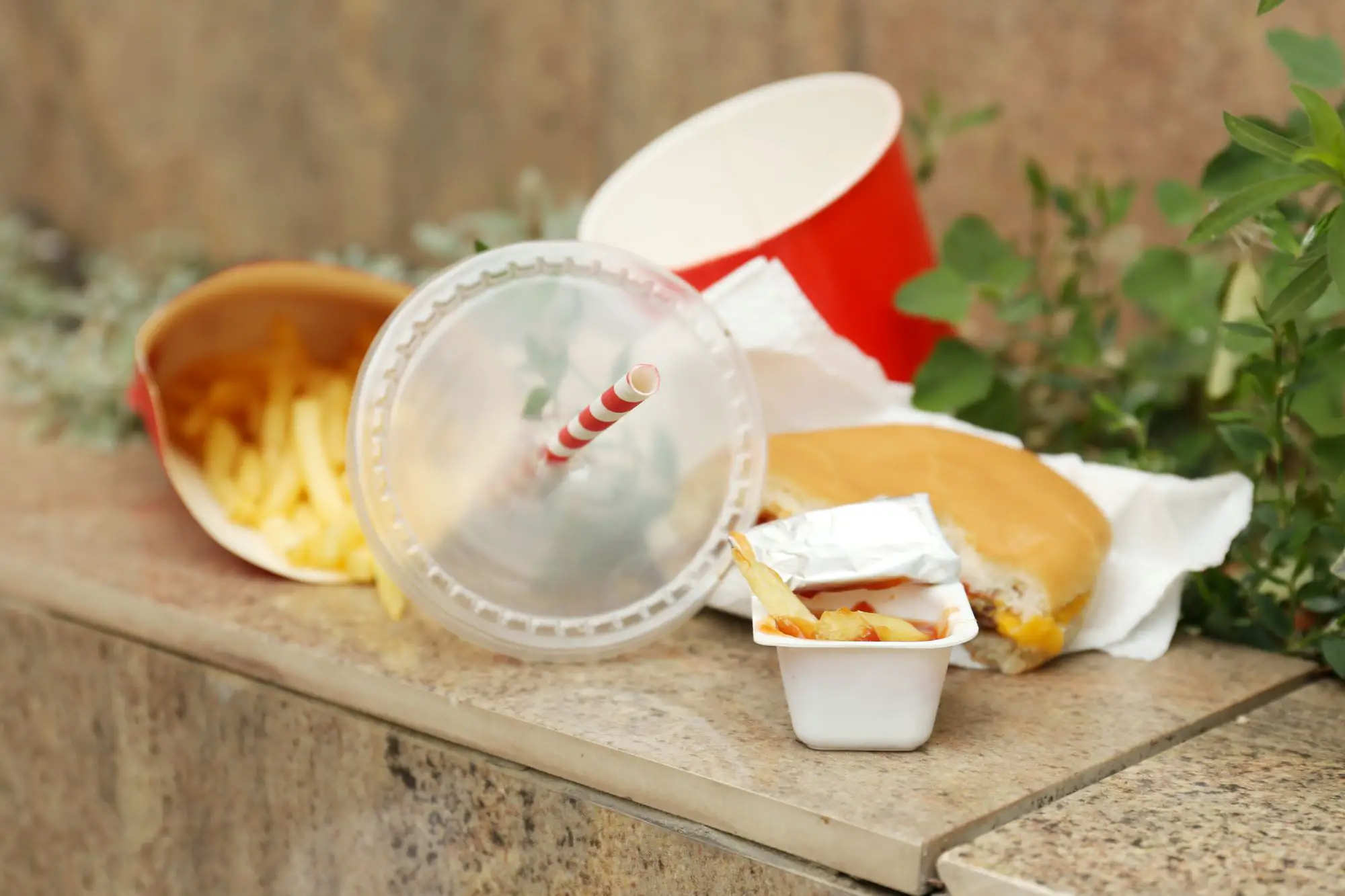 Is Fast Food Bad for the Environment? (& What You Can Do)